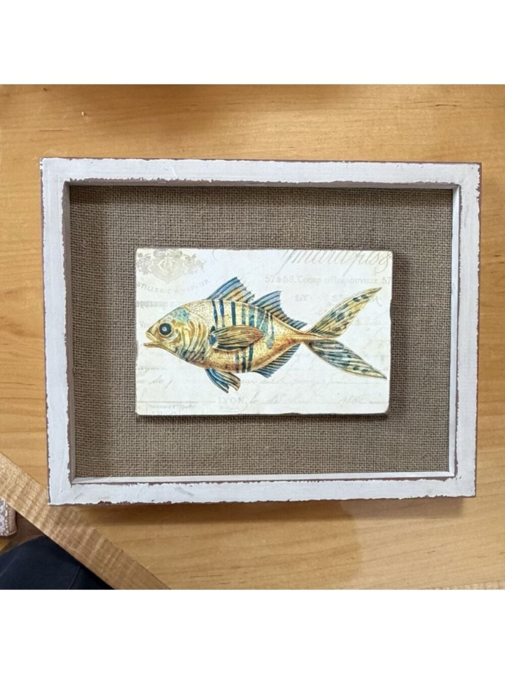 Tim Coffey Tropical Fish Art Framed Wall Picture 11 x 14 Burlap 3D Wood Beach